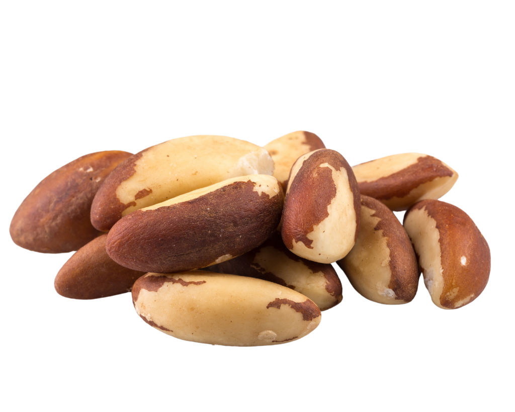 Castanha-do-Pará Cafés Serrano – rica em selênio e gorduras saudáveis, ideal como snack natural