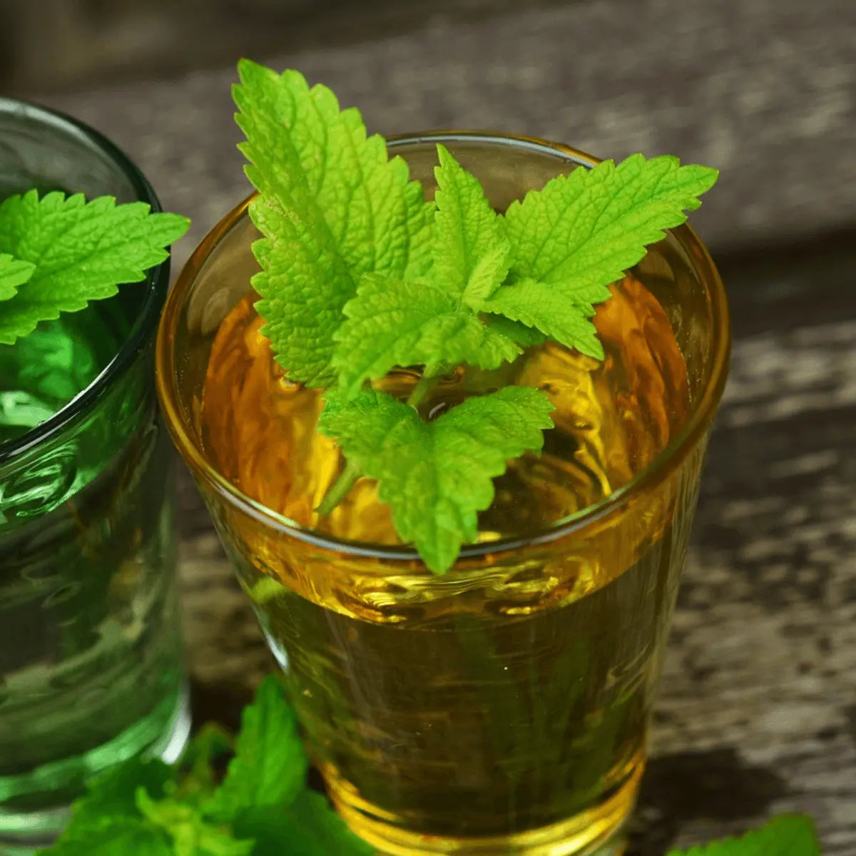 Chá de Erva-Cidreira 50g com propriedades calmantes | Cafés Serrano