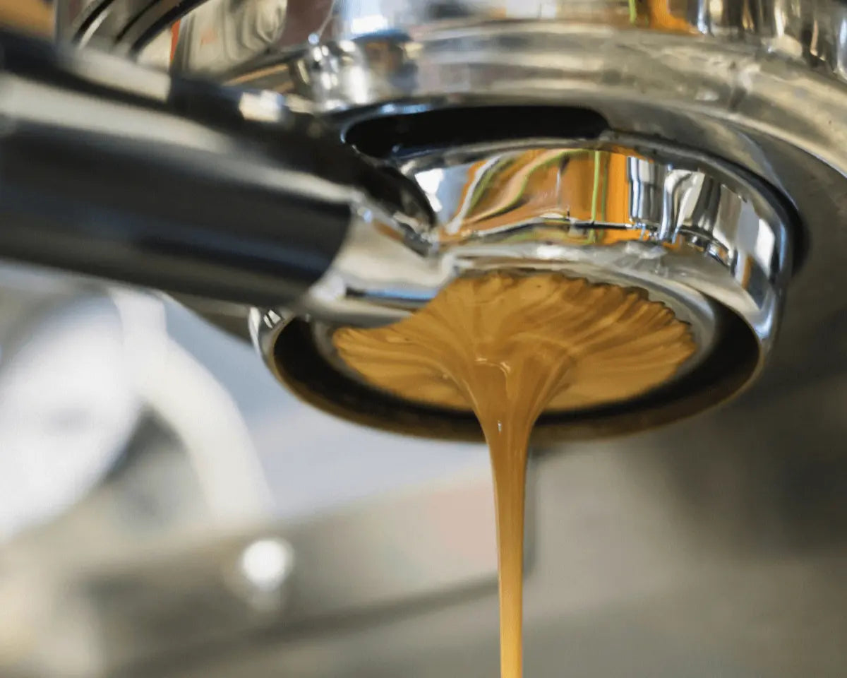 Café Moído Máquina Expresso Cafés Serrano