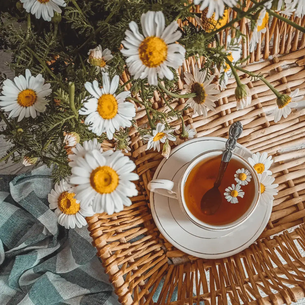 Chá de Camomila natural 50g Cafés Serrano para relaxamento e bem-estar