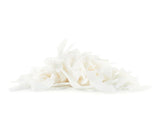 Coco Laminado